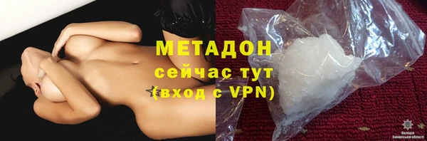 прущие грибы Армянск