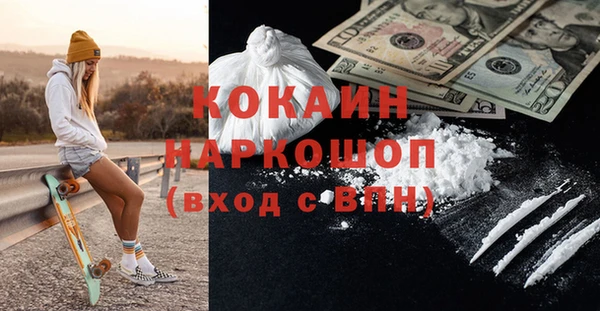 прущие грибы Армянск
