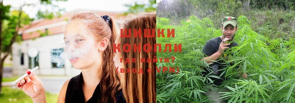 прущие грибы Армянск