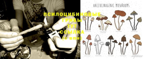 прущие грибы Армянск